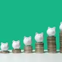 Weekly Dividend Activity: Insights for Income Investors