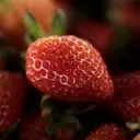 Mexico Challenges US Strawberry Dumping Ruling