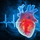 iRhythm Technologies: A Holistic Approach to Cardiac Monitoring