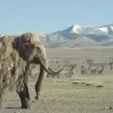 “Prehistoric Planet: Ice Age” Soundtrack Unleashes Ancient Sounds with Zimmer, Talve, and Rozman