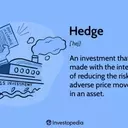 Understanding Hedging Strategies in Finance