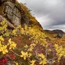 Valor Gold: A New Era for High-Grade Gold in Canada's Northwest Territories