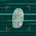 Palo Alto Networks: Anticipating Robust Q4 Growth Amidst Valuation Concerns