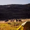 The Benefits of Sleeping Outdoors: A Guide to Nature-Immersed Retreats