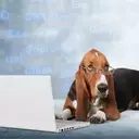 Datadog Stock Rebound: A Prime Investment Opportunity
