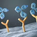 Regeneron's August Momentum: Dupixent's Dominance and New Drug Approval
