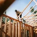 Analyzing iShares Global Timber & Forestry ETF (WOOD): A Bullish Outlook