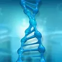 Cellectis Advances Allogeneic CAR-T Therapies with Promising Clinical Results