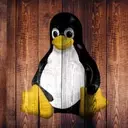 Linux Evades Age Verification Mandate in California, SteamOS Status Uncertain