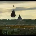 A Soothing Yet Subdued Documentary on the Enigmatic World of Trees