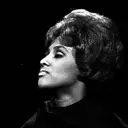 A Tribute to Darlene Love: Her Unsung Journey to Stardom