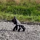Autonomous Robotic Hand Mimics 'Thing' from Addams Family