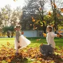 Autumnal Delights: Quotes, Jokes, and Puns for the Fall Season