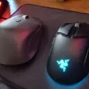 The Quest for the Ultimate Mouse: A Dual-Wielder's Perspective