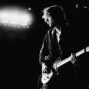 Geese Rock Forest Hills Stadium: A Diverse Crowd United by Music