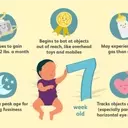 Navigating the 7th Week: Your Baby's Journey of Growth and Discovery