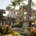 A Serendipitous Encounter Leads to a Dream Wedding in Palm Beach