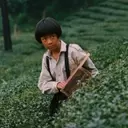 Radiance Films to Release Eight Restored Taiwanese Classics in the U.S. and U.K.