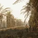 Indonesia Grapples with Severe Forest Fires and Haze Crisis