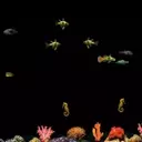The Origin Story of the Iconic Windows Fish Screensaver