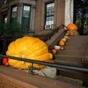 New York City Stoop Decorating: The Art of Halloween Transformation