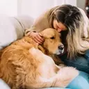 Understanding Your Dog's Affectionate Habit of Spot-Stealing