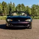 Tail-Wagging Travels: Crafting a Pet-Friendly Mazda Miata