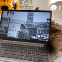 The Mac Conversion: A PC User's Reluctant Journey