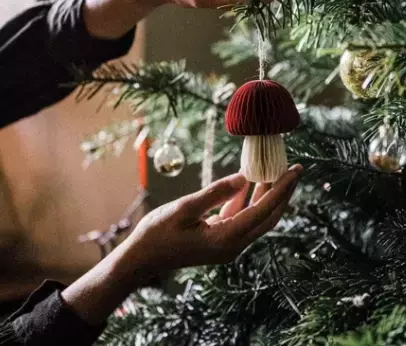 Crocus Christmas Collection: Trendy Gifts to Light Up the Season
