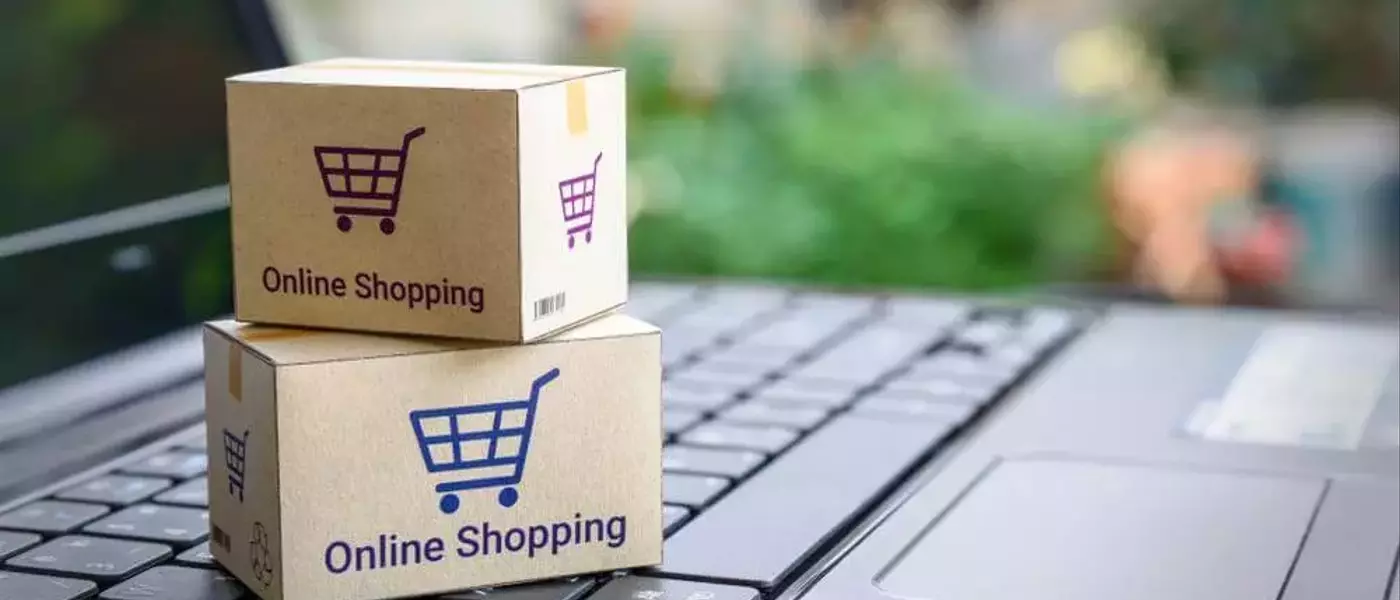 A Versatile Shopping Experience Across Platforms: How Product Variety and Pricing Differ