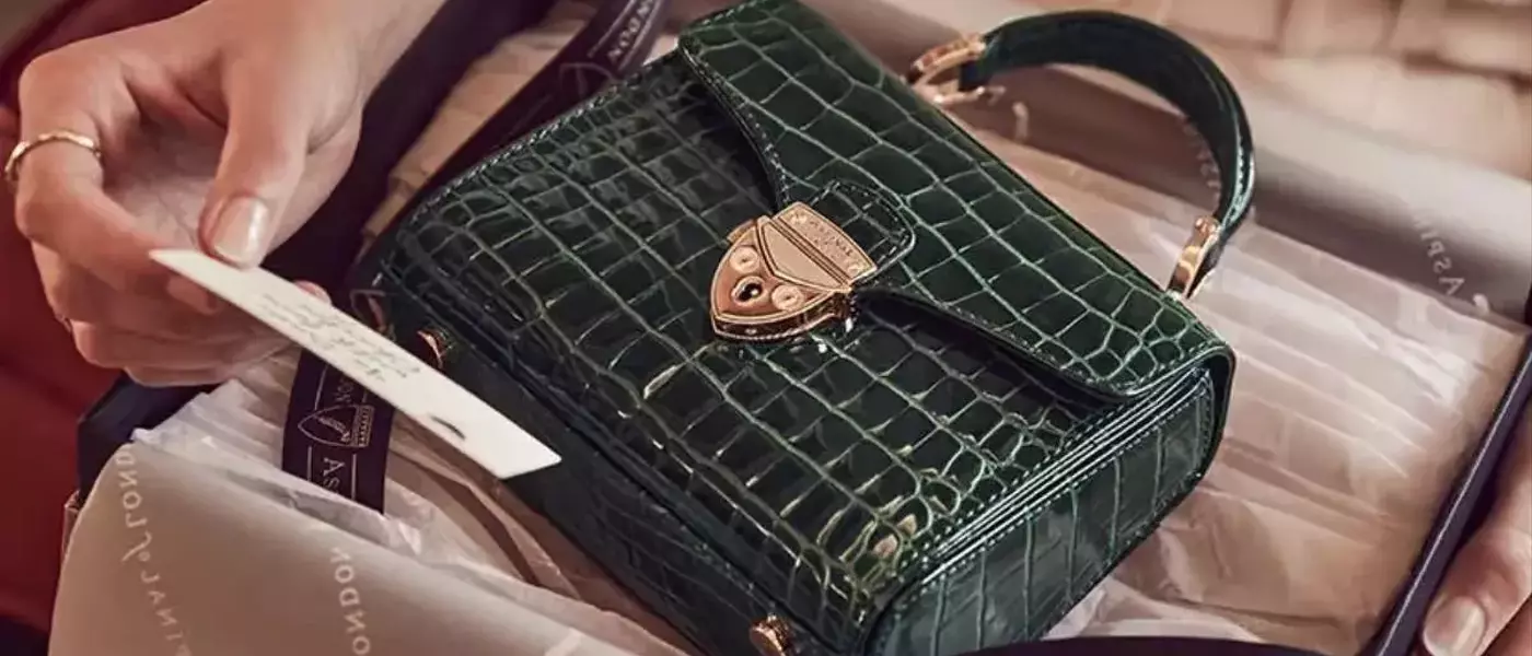 Classic vs. Trendy: Which Aspinal Handbag Should You Choose?