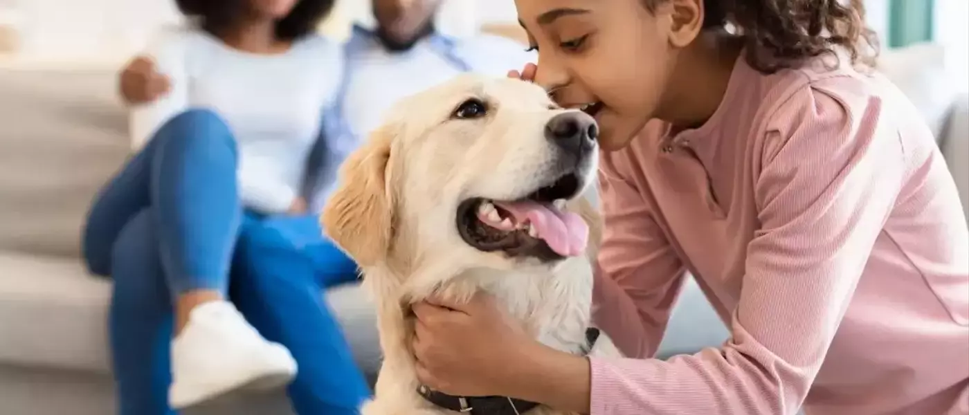 Top Picks for Dog Treats, Toys, and Hydration
