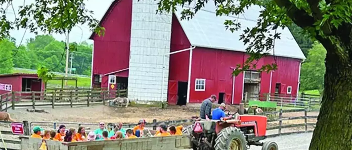 Healing Hearts: A Unique Camp for Grieving Children