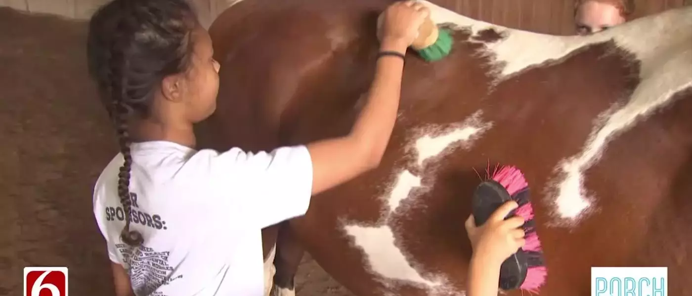 Summer Fun Awaits at the Enchanting Farm Camp
