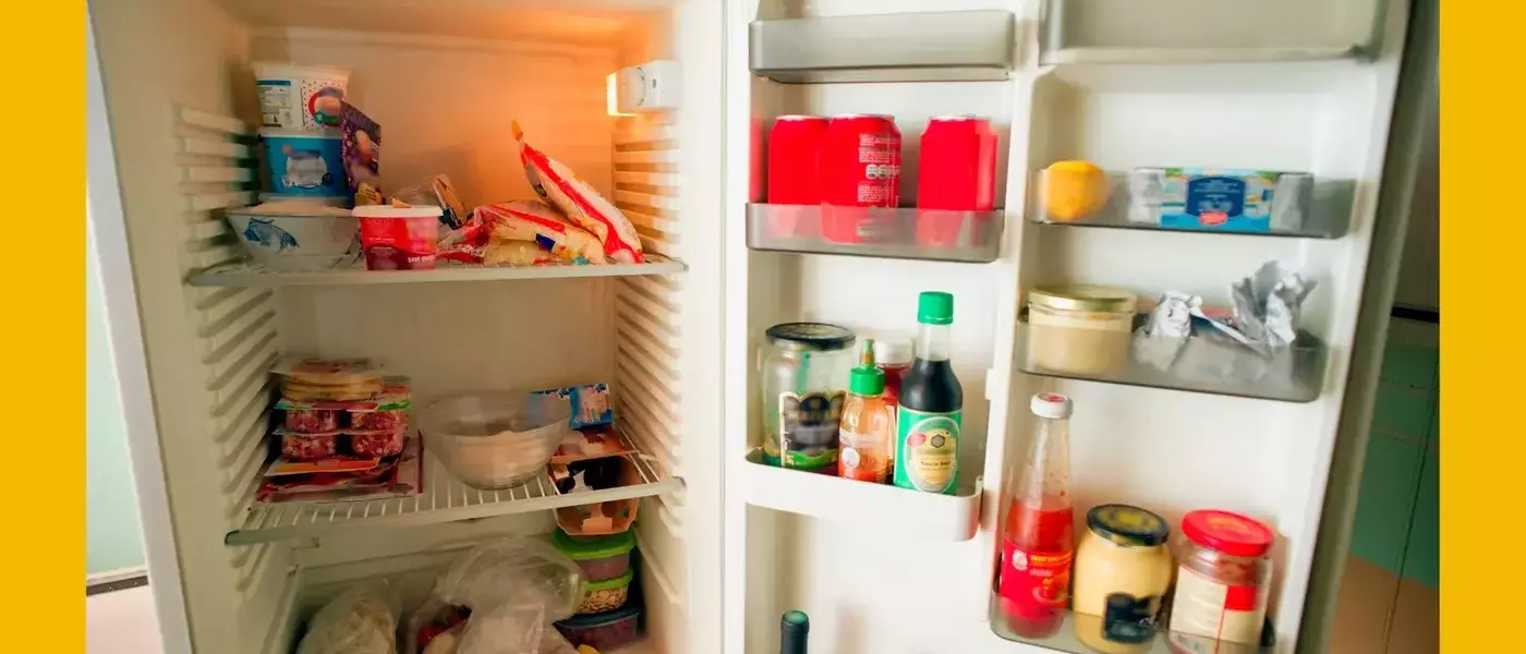 Generational Perspectives: The 'Millennial Flex' of a Garage Fridge Sparks Online Debate