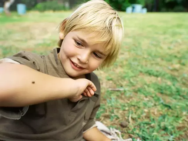 Escalating Tick Bite Incidents Raise Public Health Concerns, CDC Reports