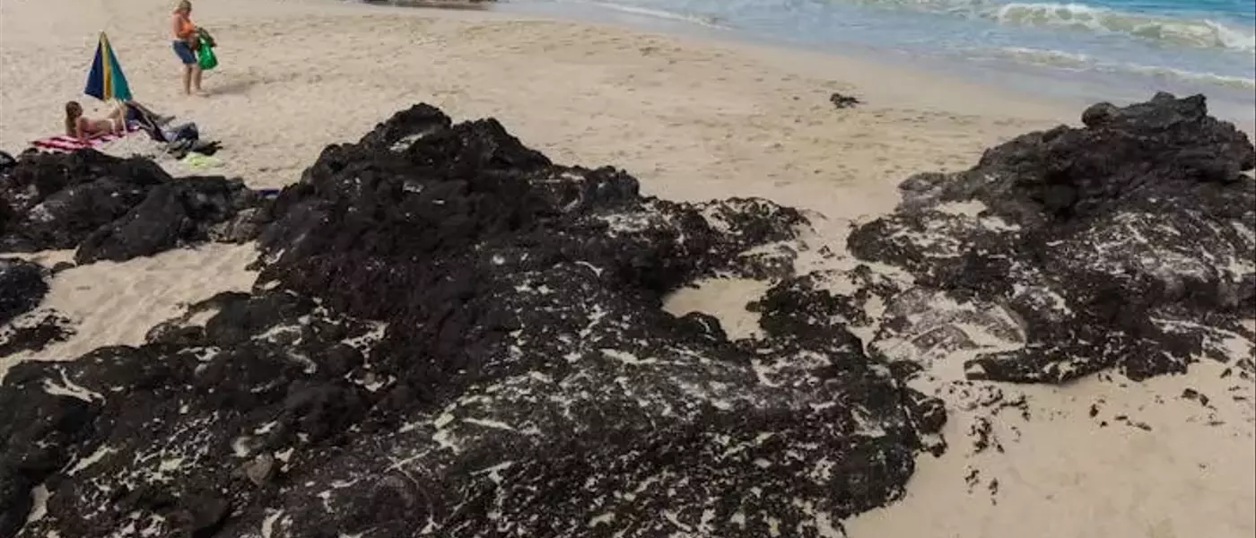Unveiling America's Pristine Coastal Waters: A Surprising Revelation