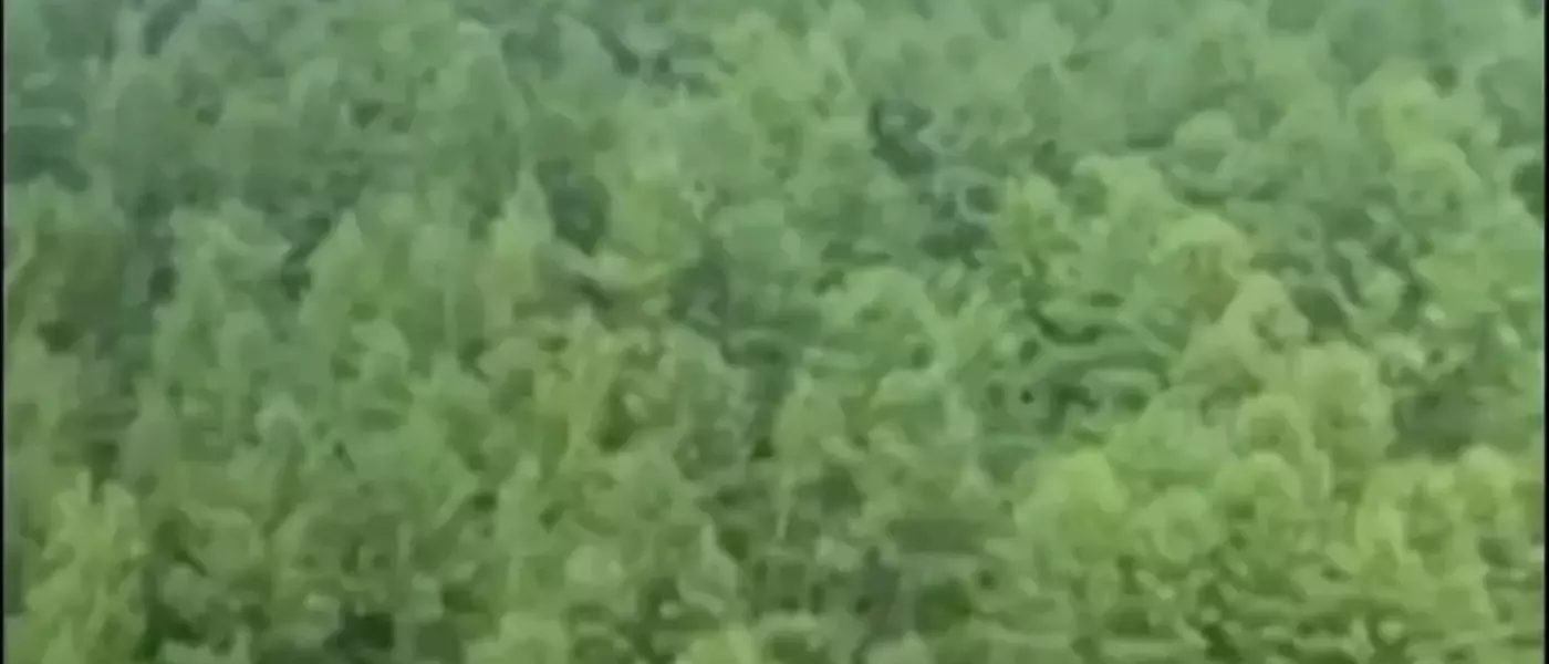 Russian Aircraft Goes Down in Far East