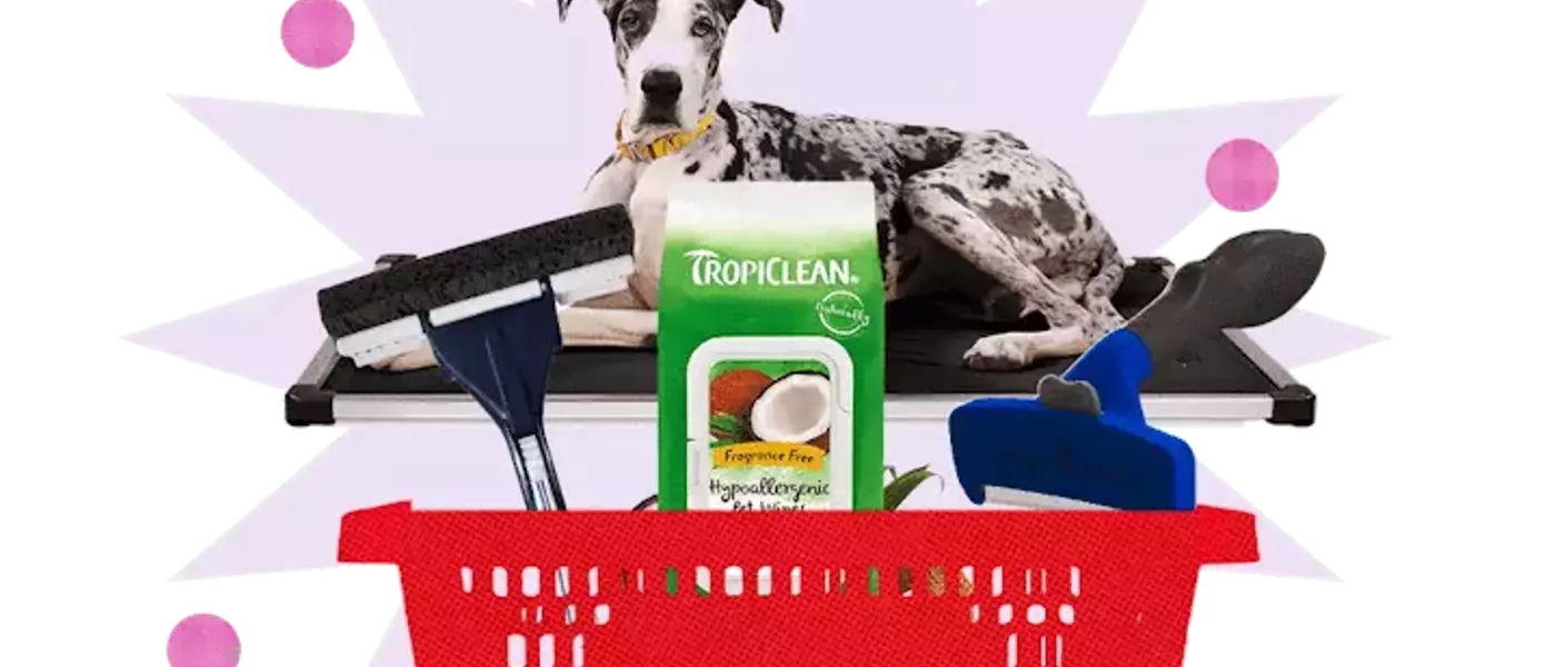 Maintain a Hair-Free Home with Pet-Friendly Products