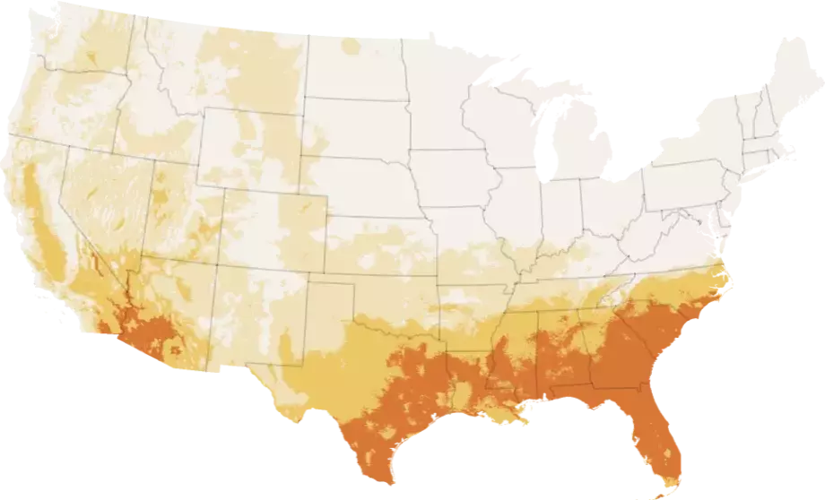 California's Unusually Cool Summer: A Climatic Anomaly Affecting the Golden State