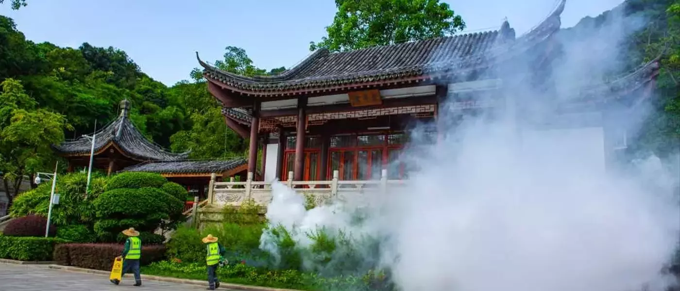 China's Aggressive Stance Against Chikungunya Outbreak: A Detailed Look