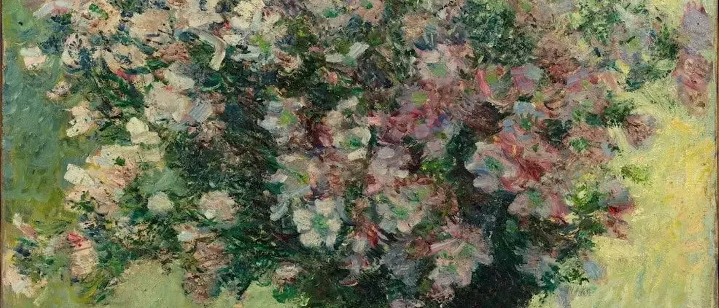A Journey into Blurred Vision: Discovering Monet's World Through My Own Eyes