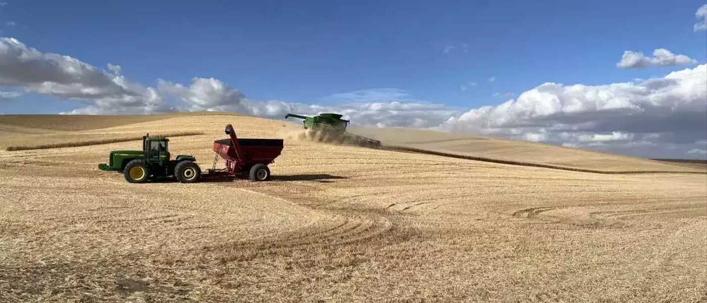 US Wheat Farmers Grapple with Trade Uncertainties Amid Tariff Landscape