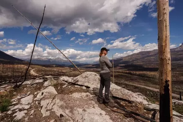 Jasper National Park: A Year After the Blaze, Lessons for Future Wildfire Management