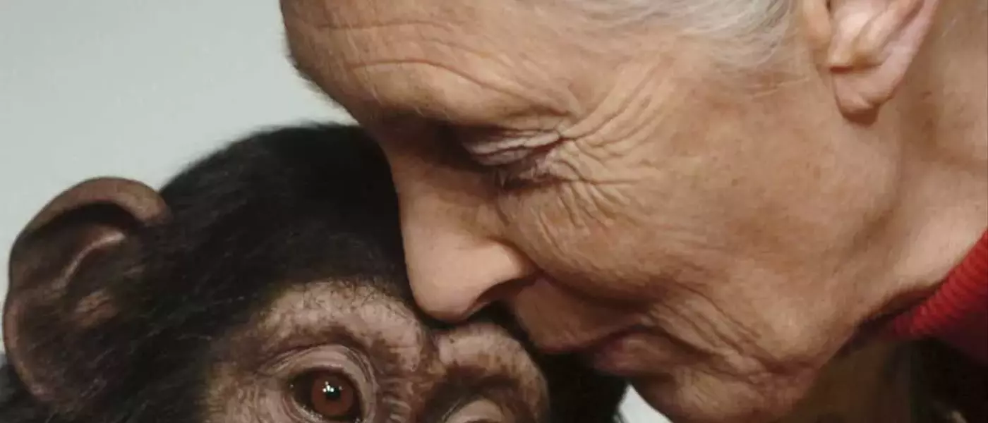 Jane Goodall's Legacy: Unveiling Humanity's Connection to the Animal Kingdom