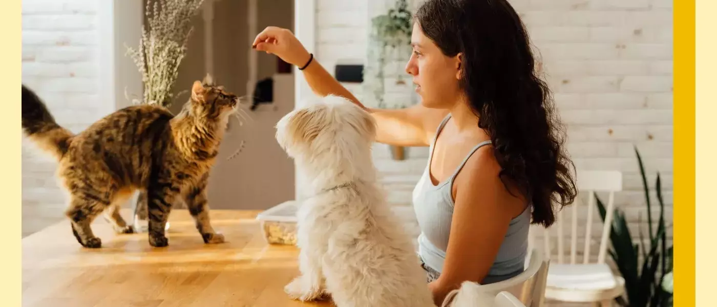 The 'Cat vs. Dog' Parenting Approach: Guiding Children Through Development