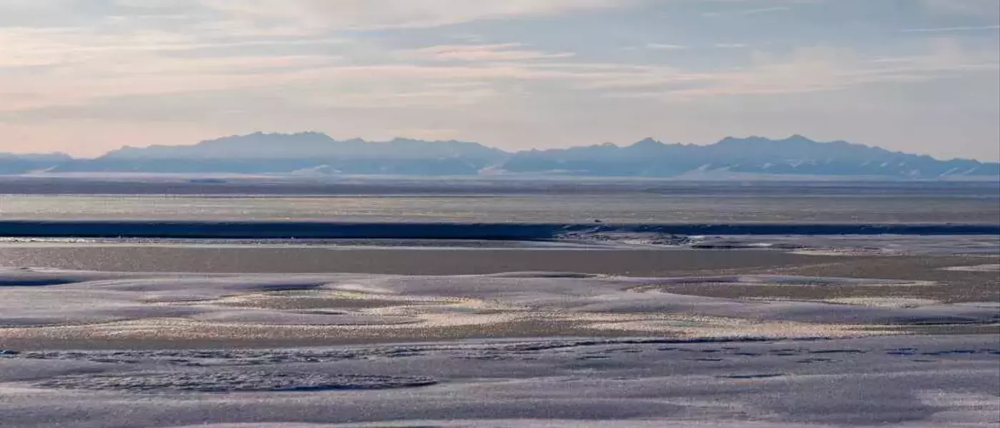 Trump Administration Greenlights Oil and Gas Drilling in Alaska's Arctic Refuge