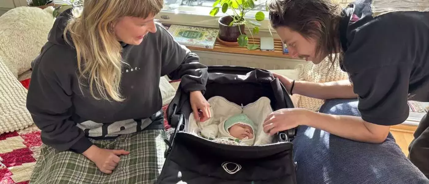 Finland's Declining Birth Rate: A Paradox of Progressive Family Policies