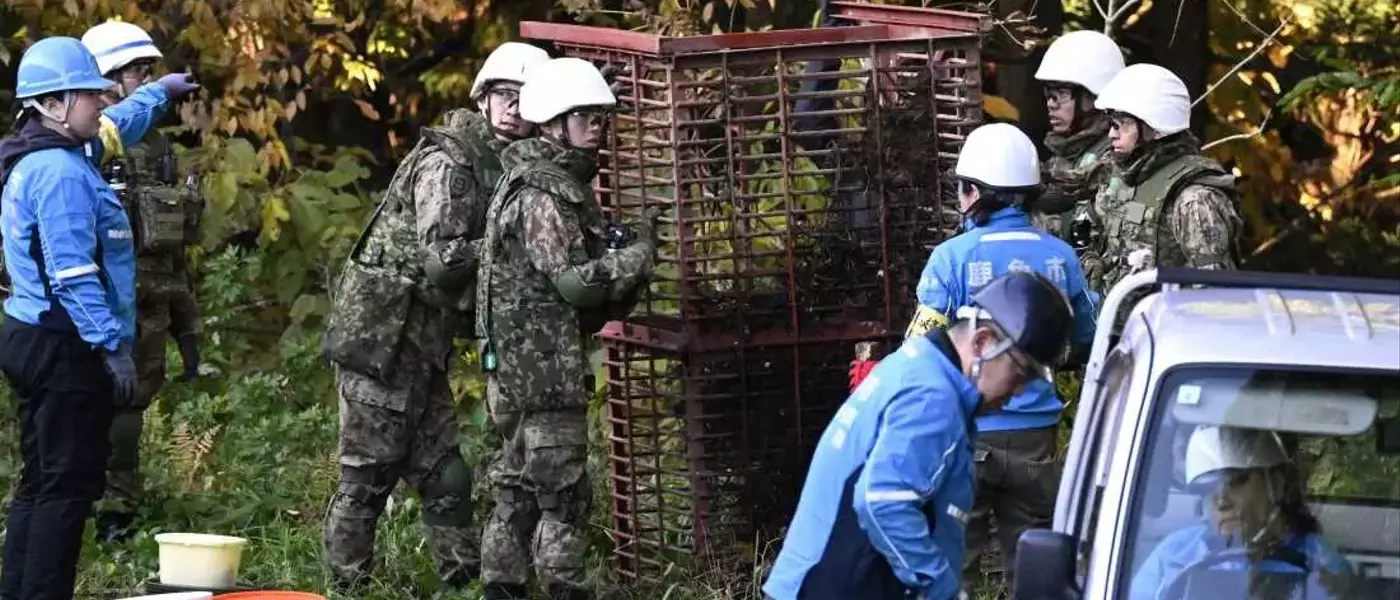 Japan Deploys Military to Combat Escalating Bear Encounters