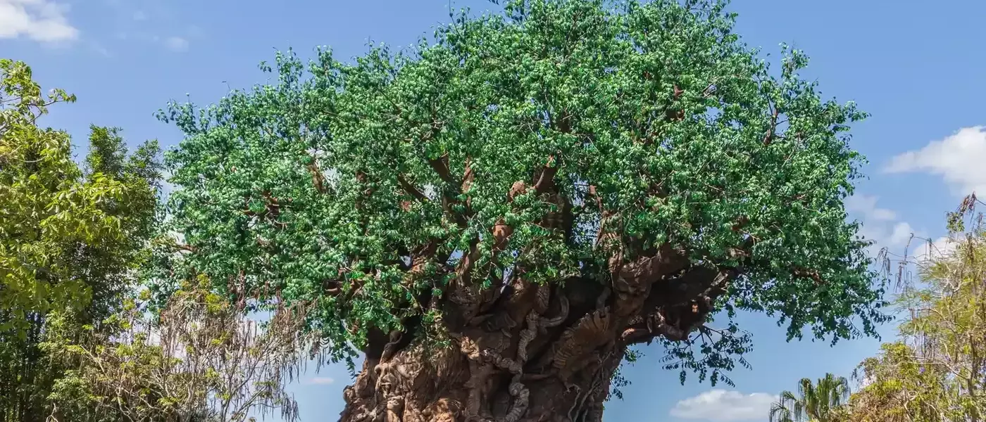 A Magical Family Journey: Discovering Unity at Disney's Animal Kingdom